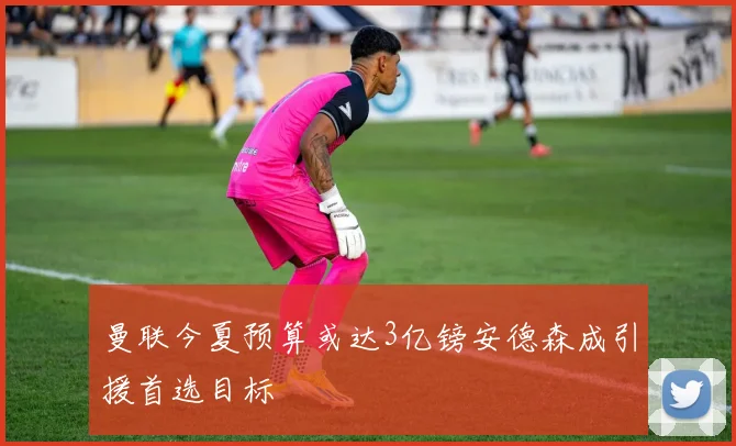 曼联今夏预算或达3亿镑安德森成引援首选目标